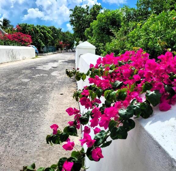 Otel Turks Head Inne