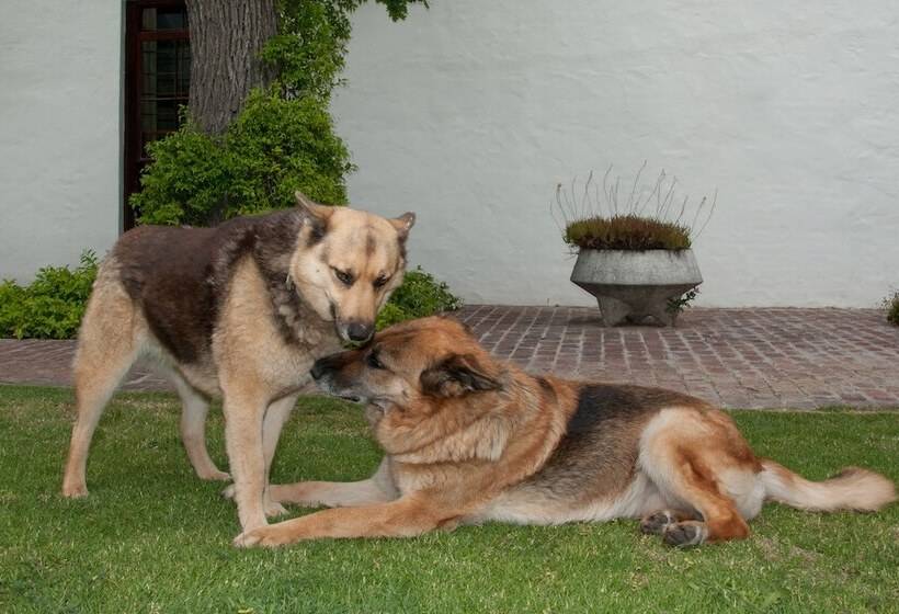 La Galinière Guest Cottages