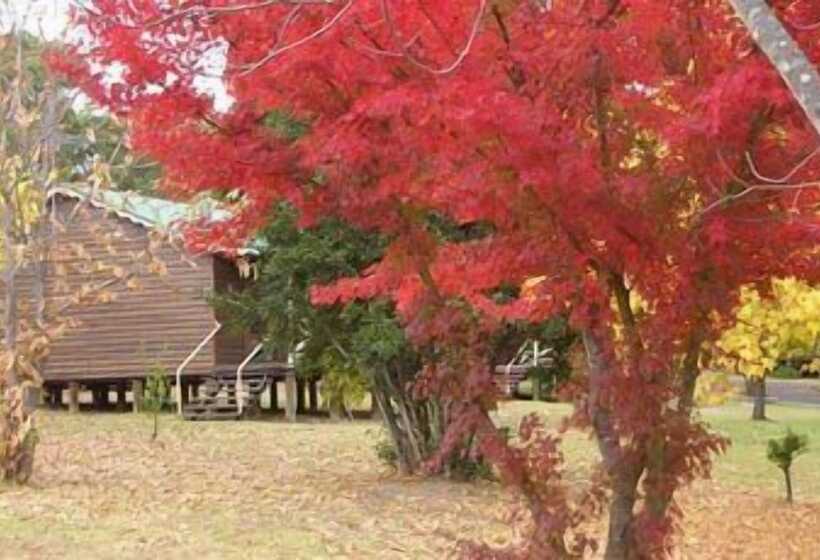 Madison's Mountain Retreat