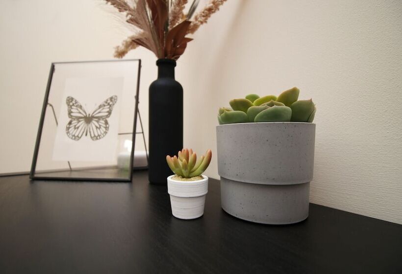 펜션 Alicia S Way By Tŷ Sa