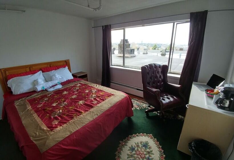 膳宿费 City Night Sky Light