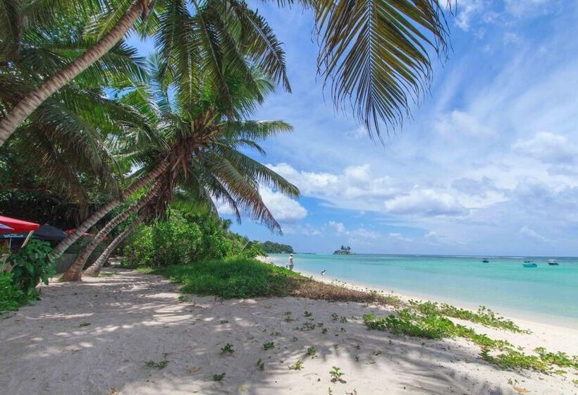 Majatalo Coco Blanche