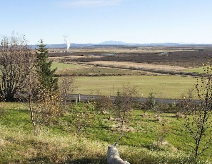 پانسیون Farmhotel Efstidalur