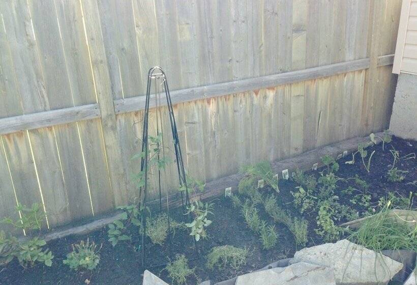 פנסיון Home Sweet Hostel