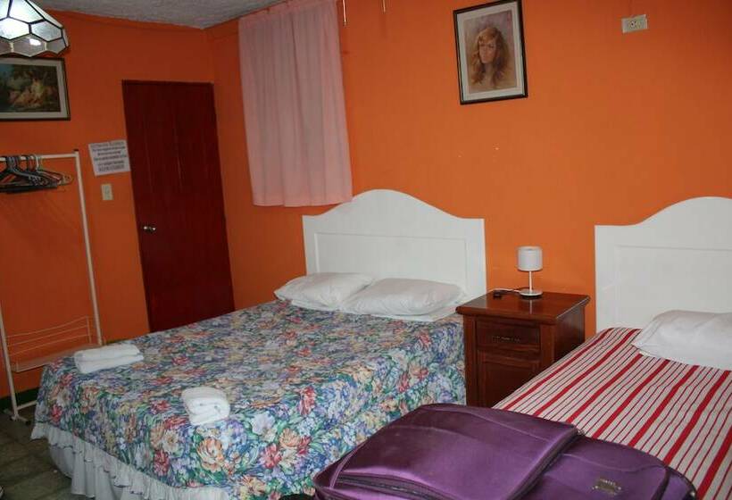 Пансион International Guest House