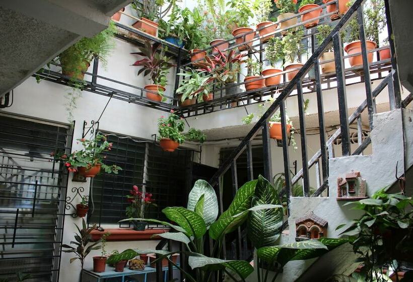 Пансион International Guest House