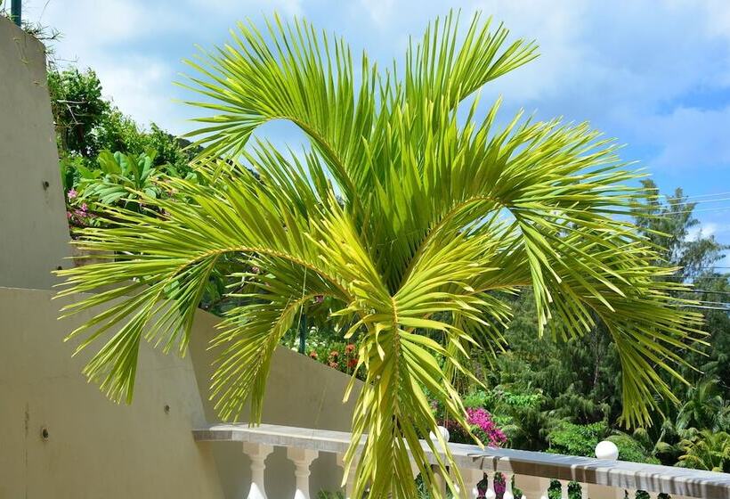 Пансион Villa Anse La Blague