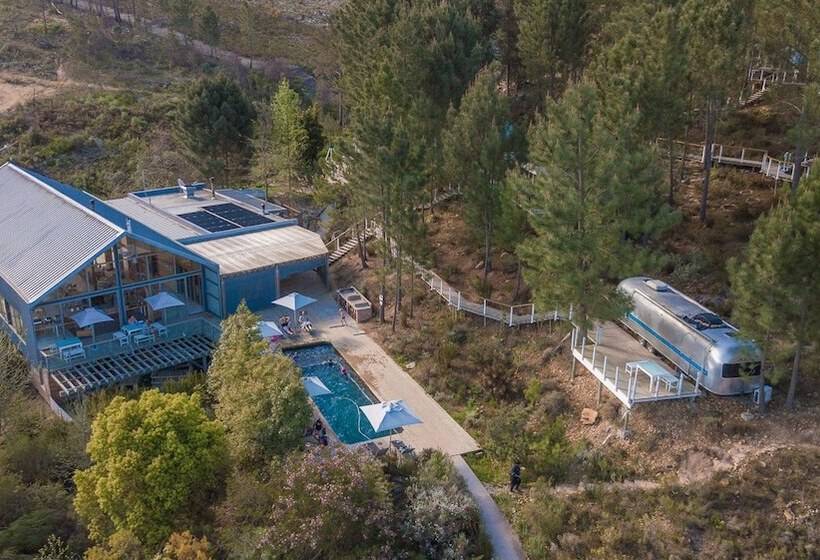 אתר נופש Old Mac Daddy