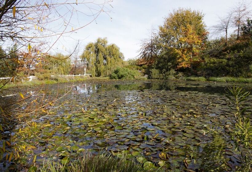 منتجع Old Mac Daddy