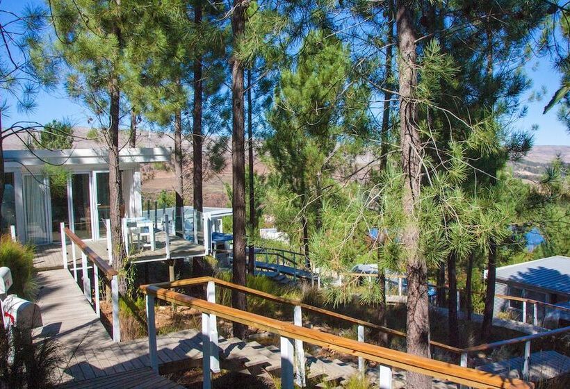 منتجع Old Mac Daddy