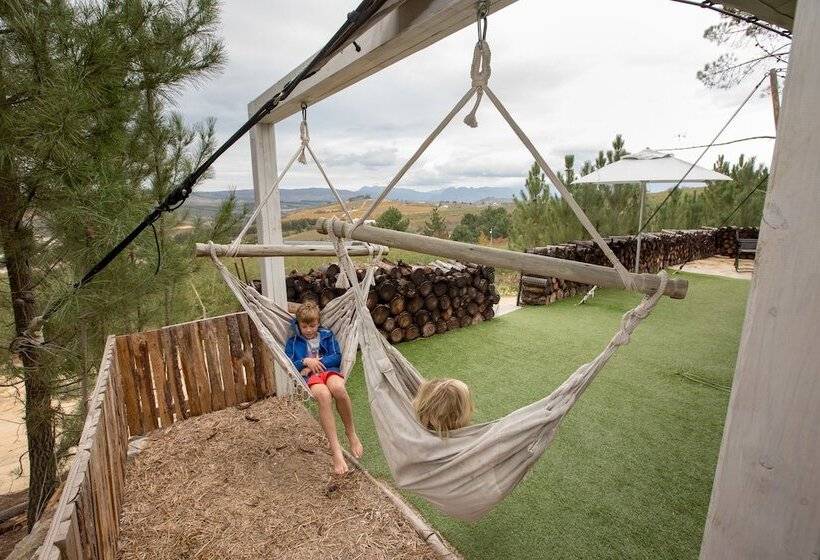 منتجع Old Mac Daddy