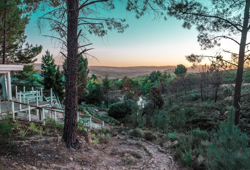 אתר נופש Old Mac Daddy