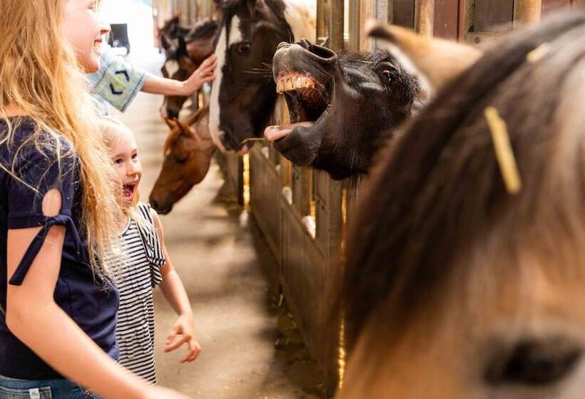 منتجع Topparken – Parc Ijsselhoeve