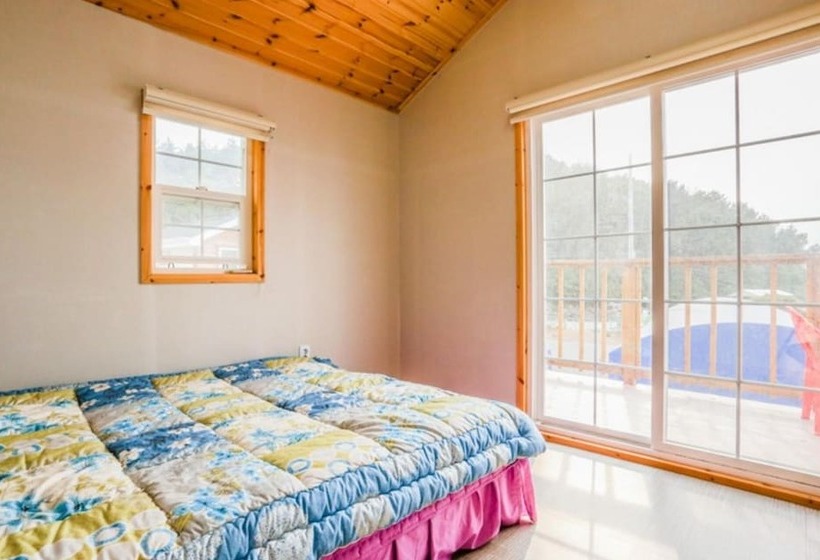 Daebudo  Modnie Pension