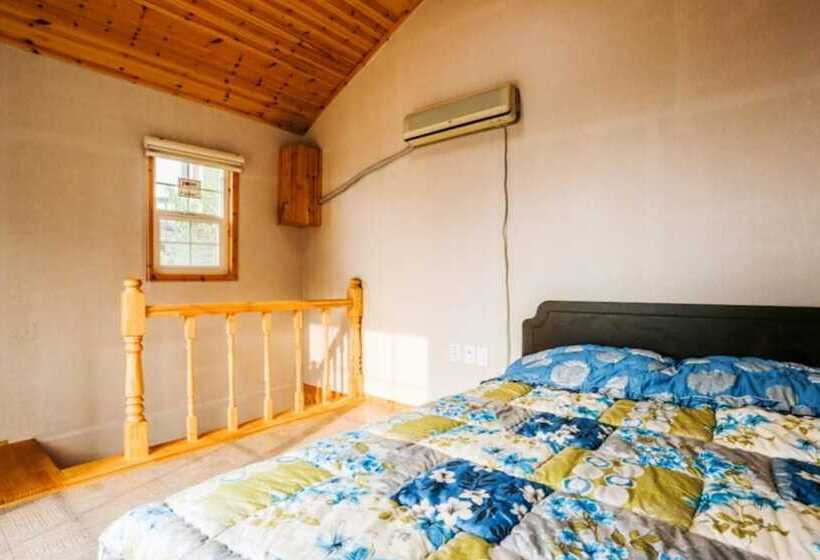 Daebudo  Modnie Pension