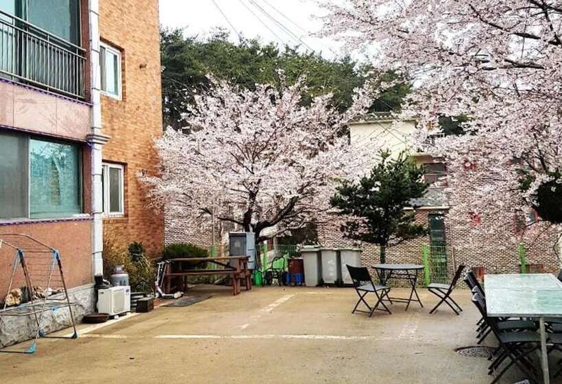 Daebudo  Supsok Pension