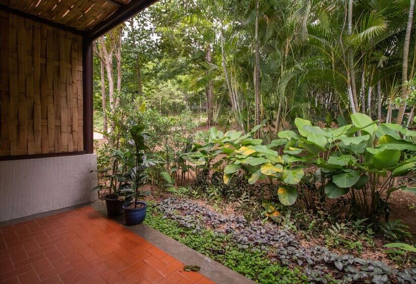 酒店 Phapok Eco Resort