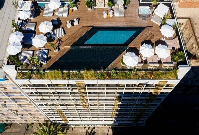 Skylark, Aluma Hotel & Resort