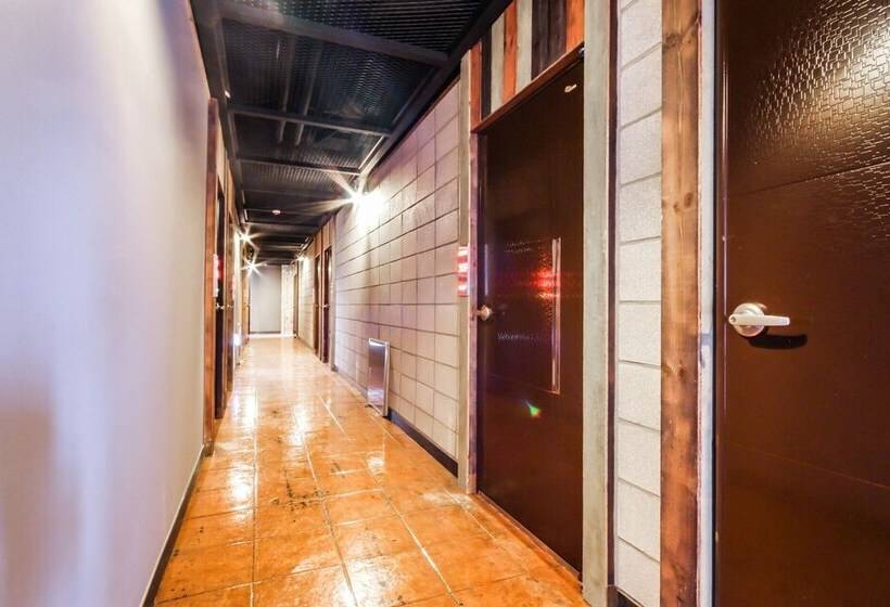 מוטל Daegu Gyeongbuk University Bridge