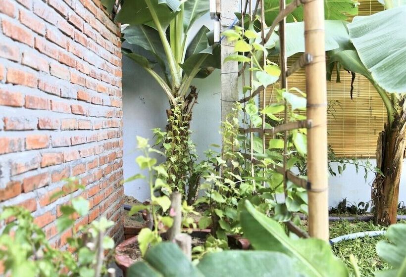 پانسیون Ba's Garden Beachside Homestay