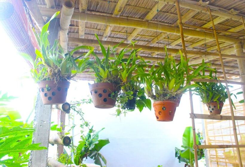 پانسیون Ba's Garden Beachside Homestay