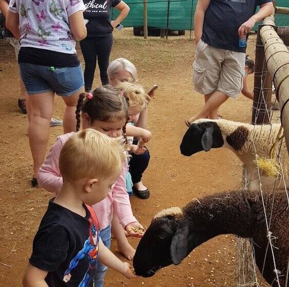 膳宿费 Die Plasie