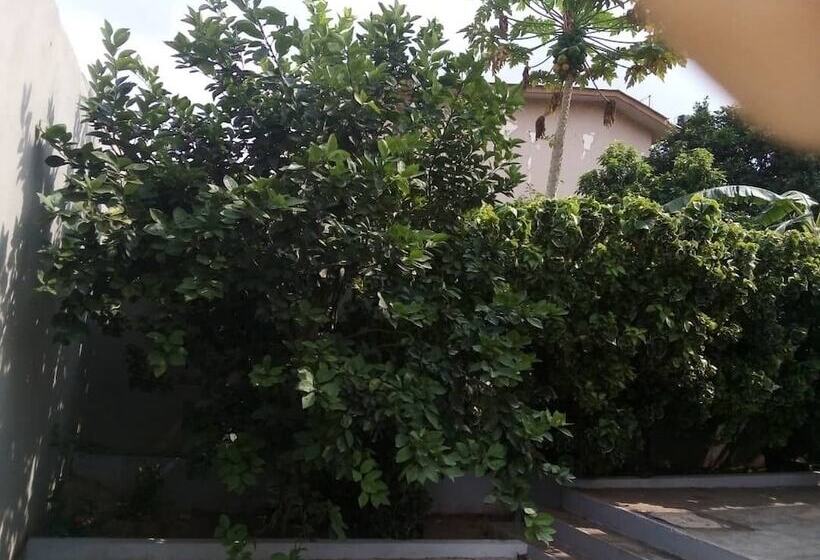 پانسیون Green Glass Guest House