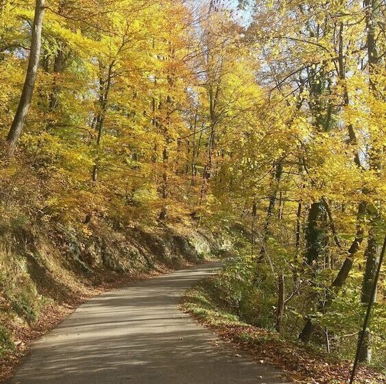 هتل Merkež Guest House