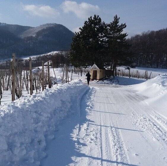 هتل Merkež Guest House