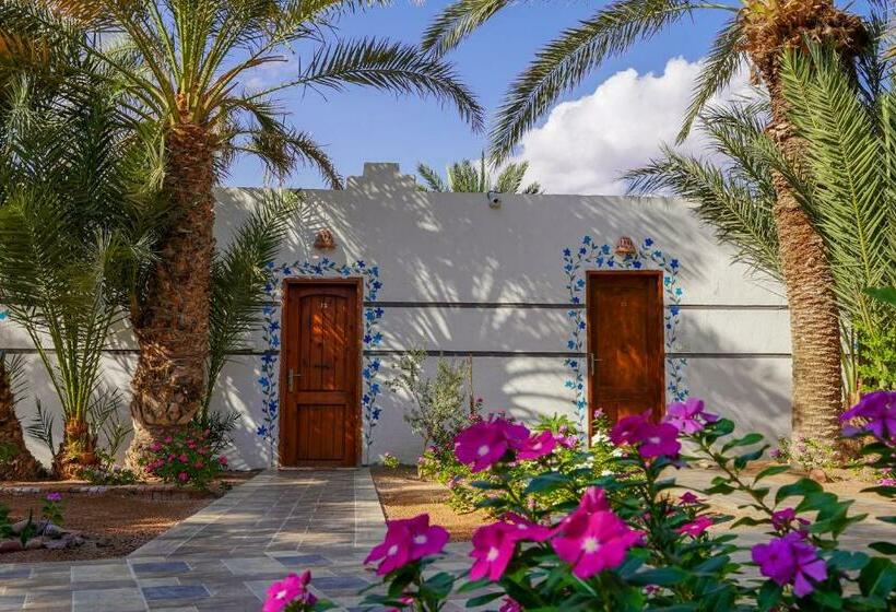 هتل Miramar Camp Dahab