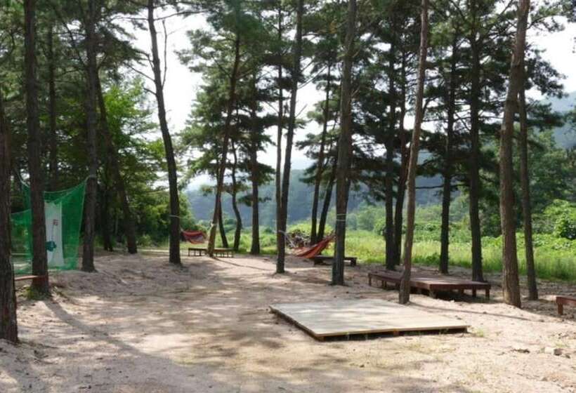 酒店 Sangju Yeoyurounhwangtojib Pensyeon