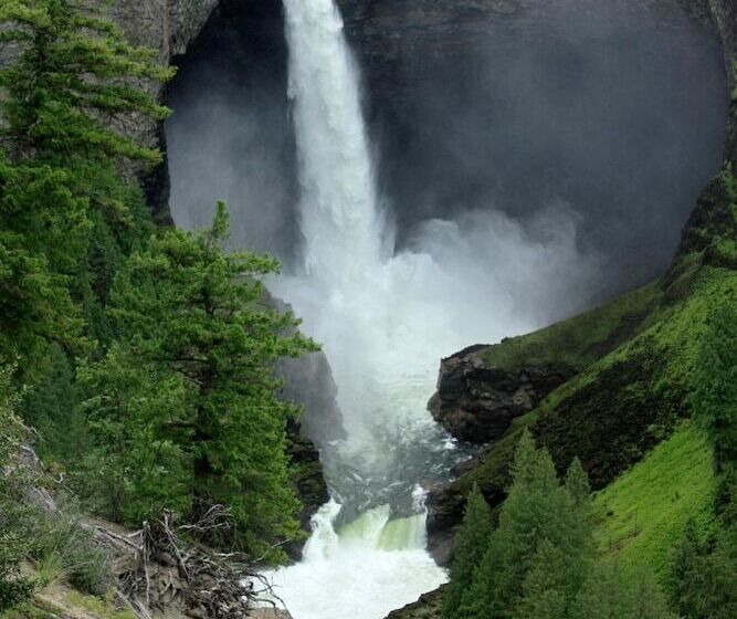 فندق Stoneshire Guesthouse