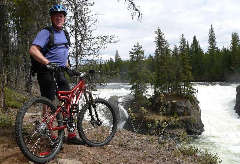 فندق Stoneshire Guesthouse