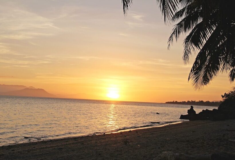 酒店 Submarine Garden Beach Resort