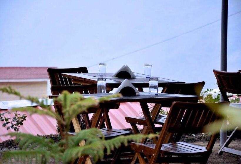 فندق The Tattva Resort