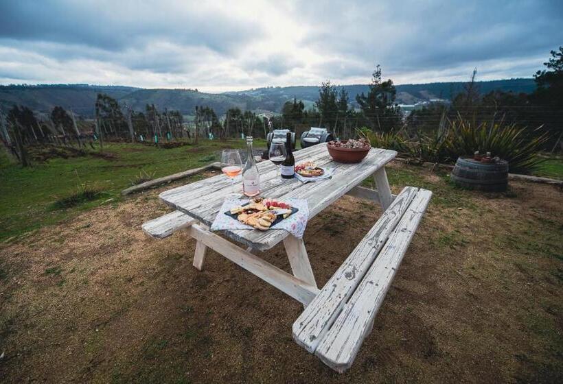 فندق Bungalow Miramar & Jeronimo At Casa Marin Vineyards