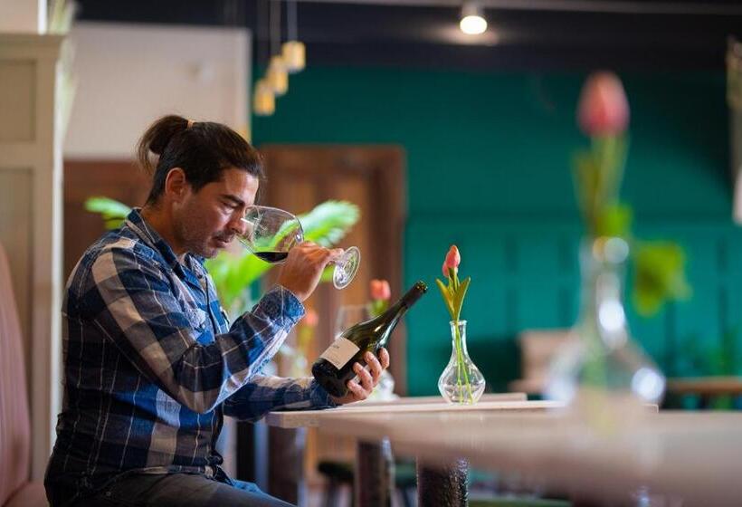 בית מלון כפרי Bungalow Miramar & Jeronimo At Casa Marin Vineyards