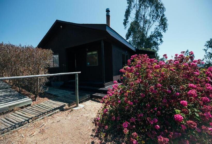 فندق Bungalow Miramar & Jeronimo At Casa Marin Vineyards