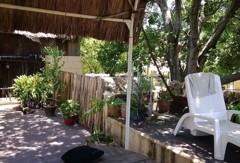 旅馆 Maya Cha An Guesthouse