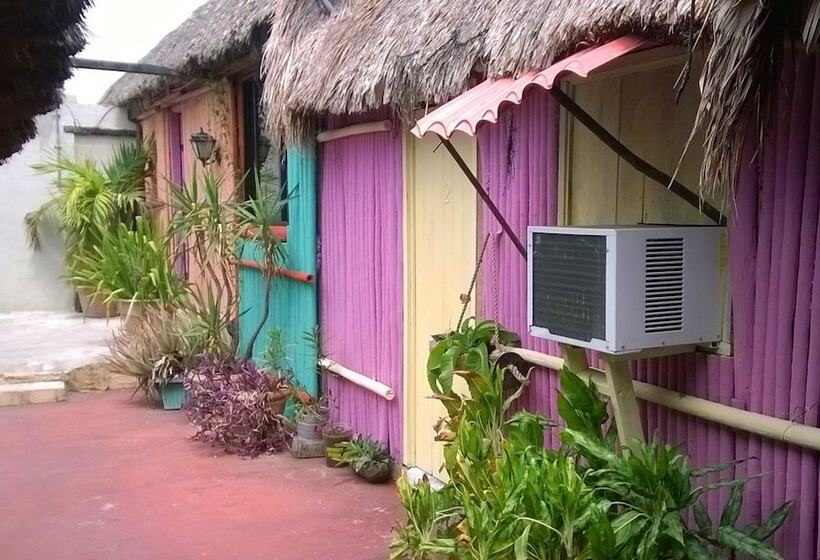 旅馆 Maya Cha An Guesthouse