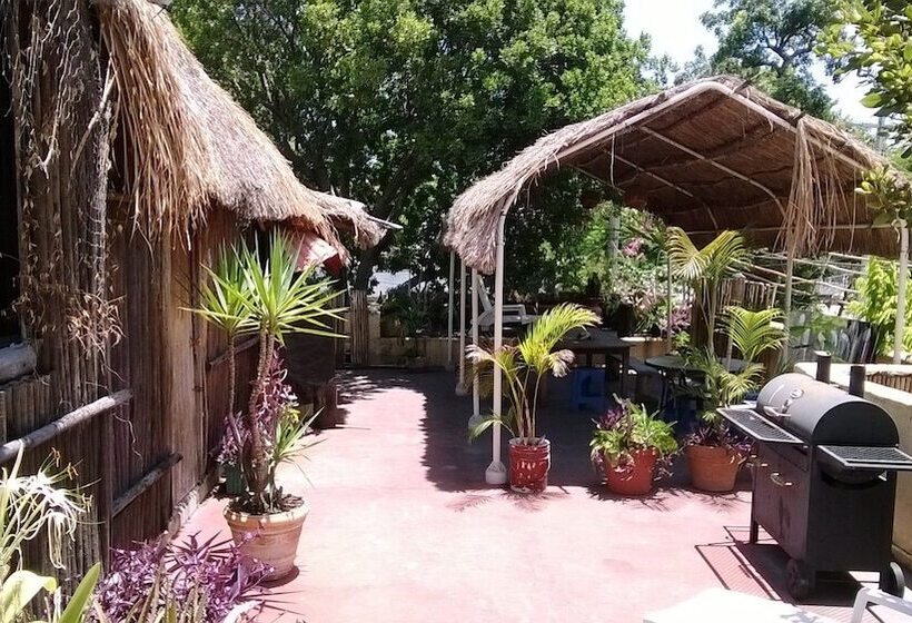 旅馆 Maya Cha An Guesthouse