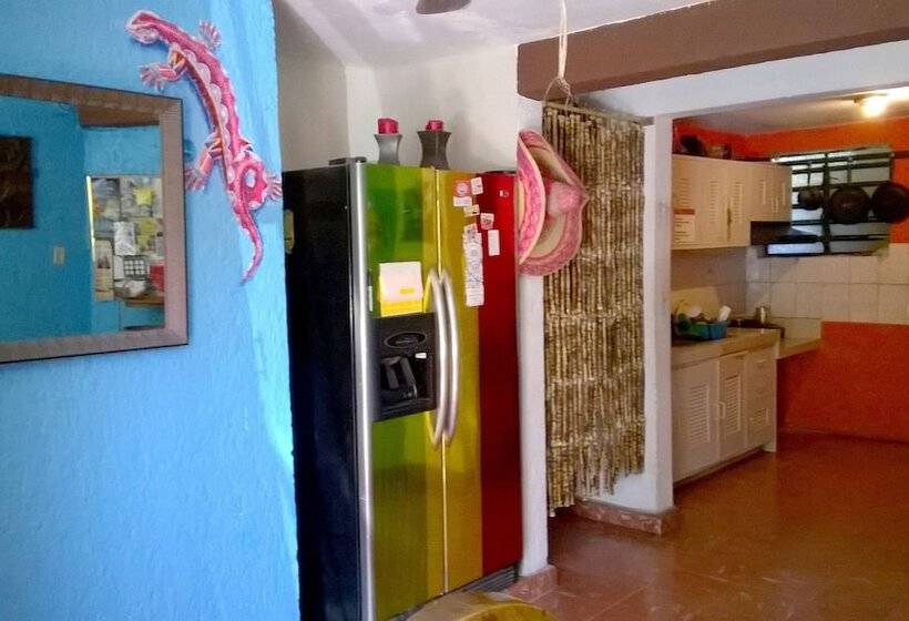 旅馆 Maya Cha An Guesthouse