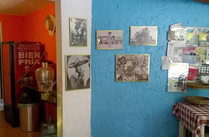 旅馆 Maya Cha An Guesthouse