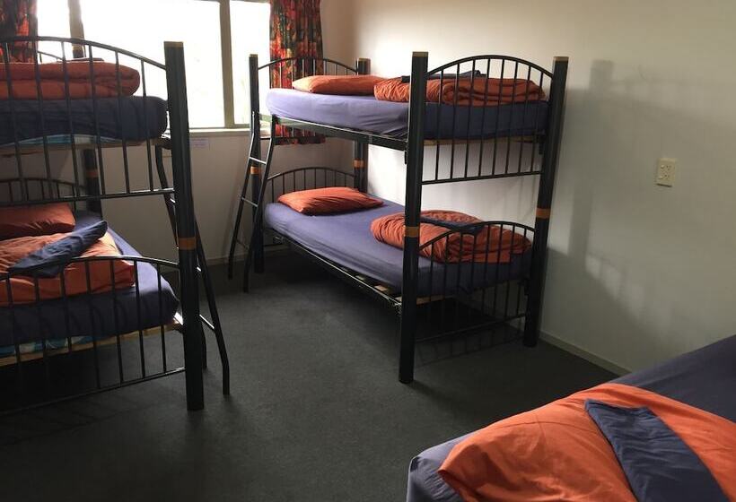 ユースホステル Tiki Lodge Backpackers