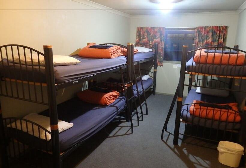 ユースホステル Tiki Lodge Backpackers