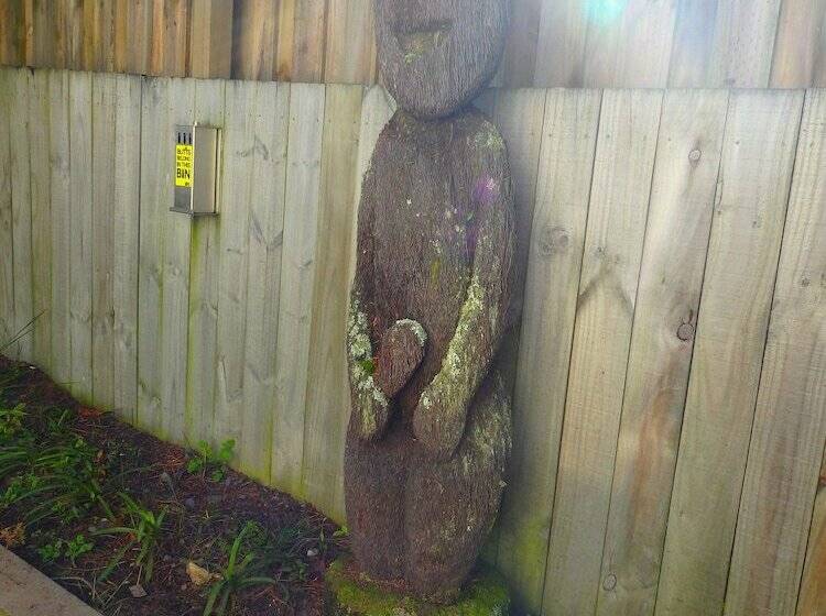 ユースホステル Tiki Lodge Backpackers