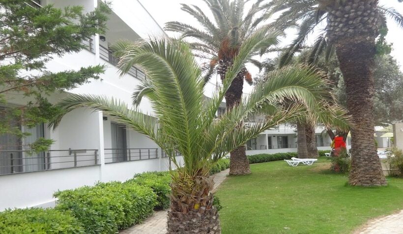 Altin Yunus Apart Beach Plus