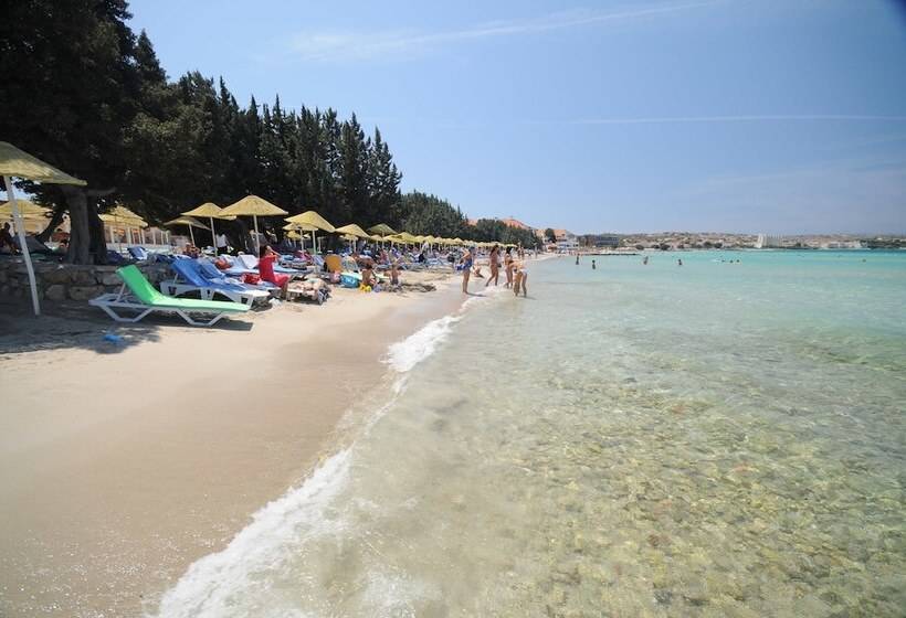 Altin Yunus Apart Beach Plus