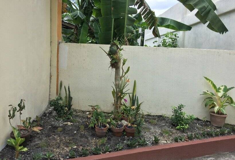 تختخواب و صبحانه Gemini Hotel And Restaurant