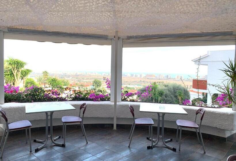 Los Palmitos Peñiscola